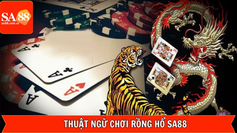 Thuật ngữ quan trọng trong rồng hổ SA88 