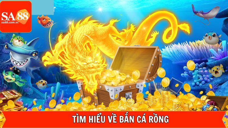 Giới thiệu vài thông tin về game bắn cá rồng