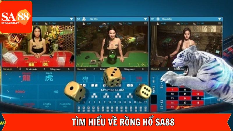 Các thông tin tổng quan cần nắm về game rồng hổ 