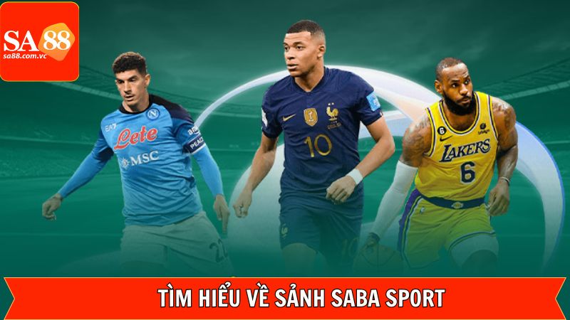 Tổng quan về sức hút của Saba Sport 