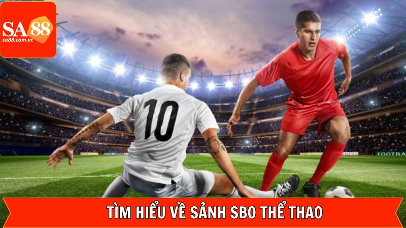 SBO Thể Thao - Tận Hưởng Trận Đấu Kịch Tính Tại SA88 2 Nét chính về thương hiệu SBO thể thao